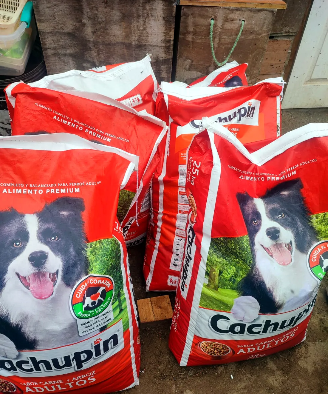 Sacos de alimento para perros
