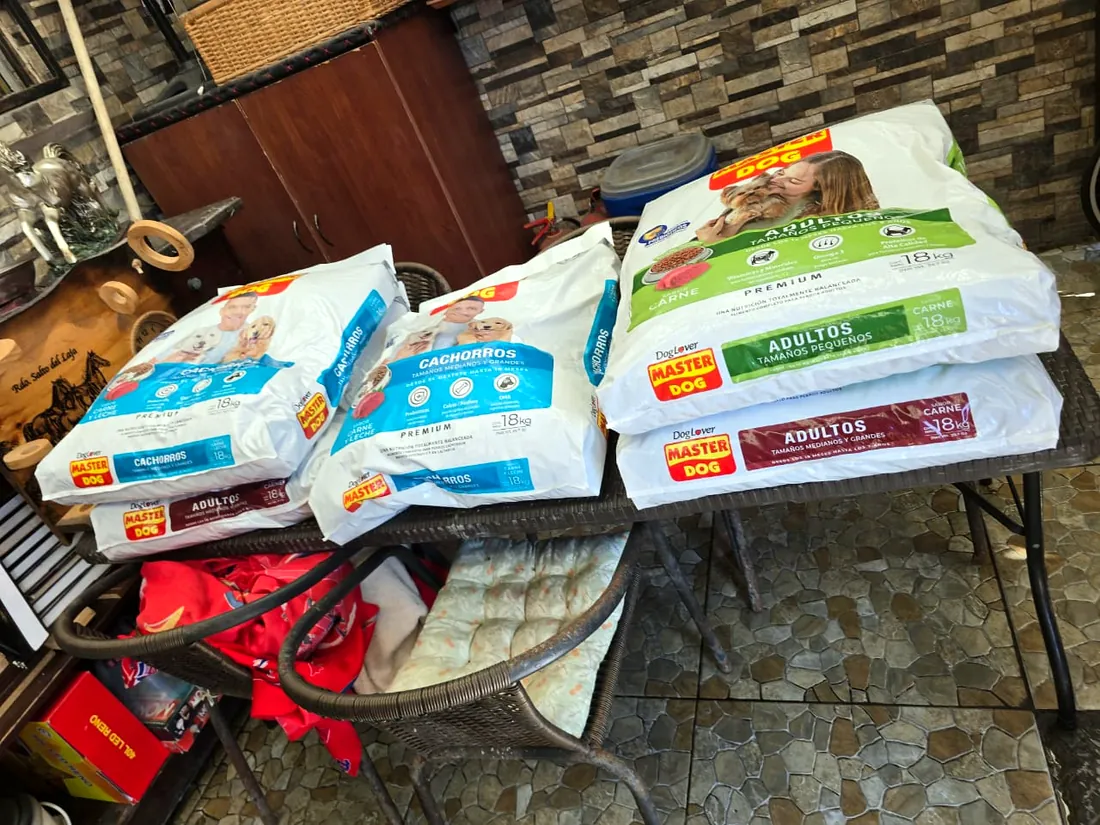 Alimento donado para los perros
