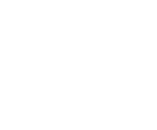 Ángeles Guardianes · Centro de rescate y rehabilitación de mascotas, Antofagasta